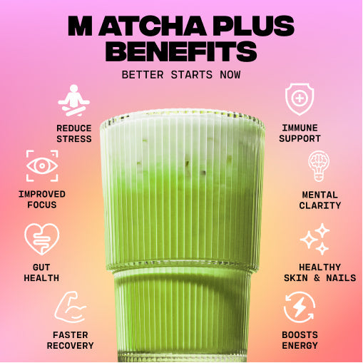 Matcha+ Starter Kit (30 Servings) - Essential Set
